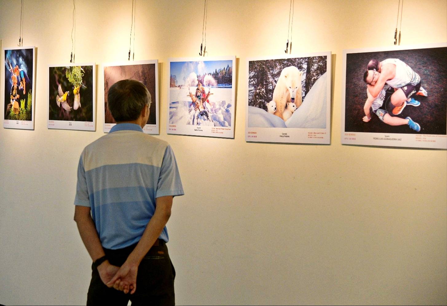 觀眾駐足欣賞展出的攝影作品。